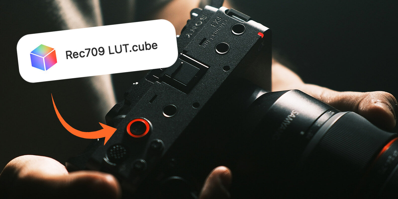 How to Convert and Resize LUTs for any Camera or Software