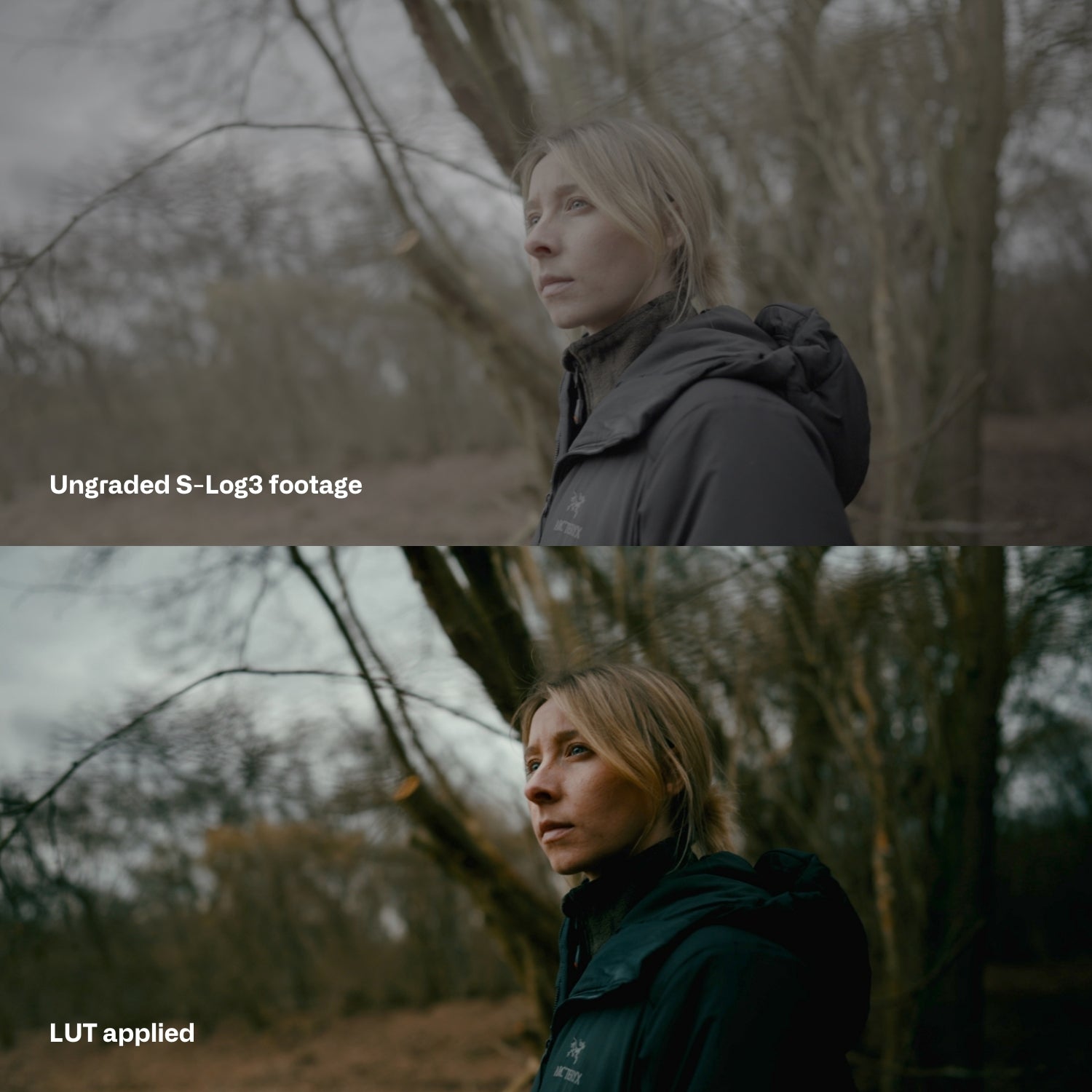 Sony SLog3 Cinematic LUTs