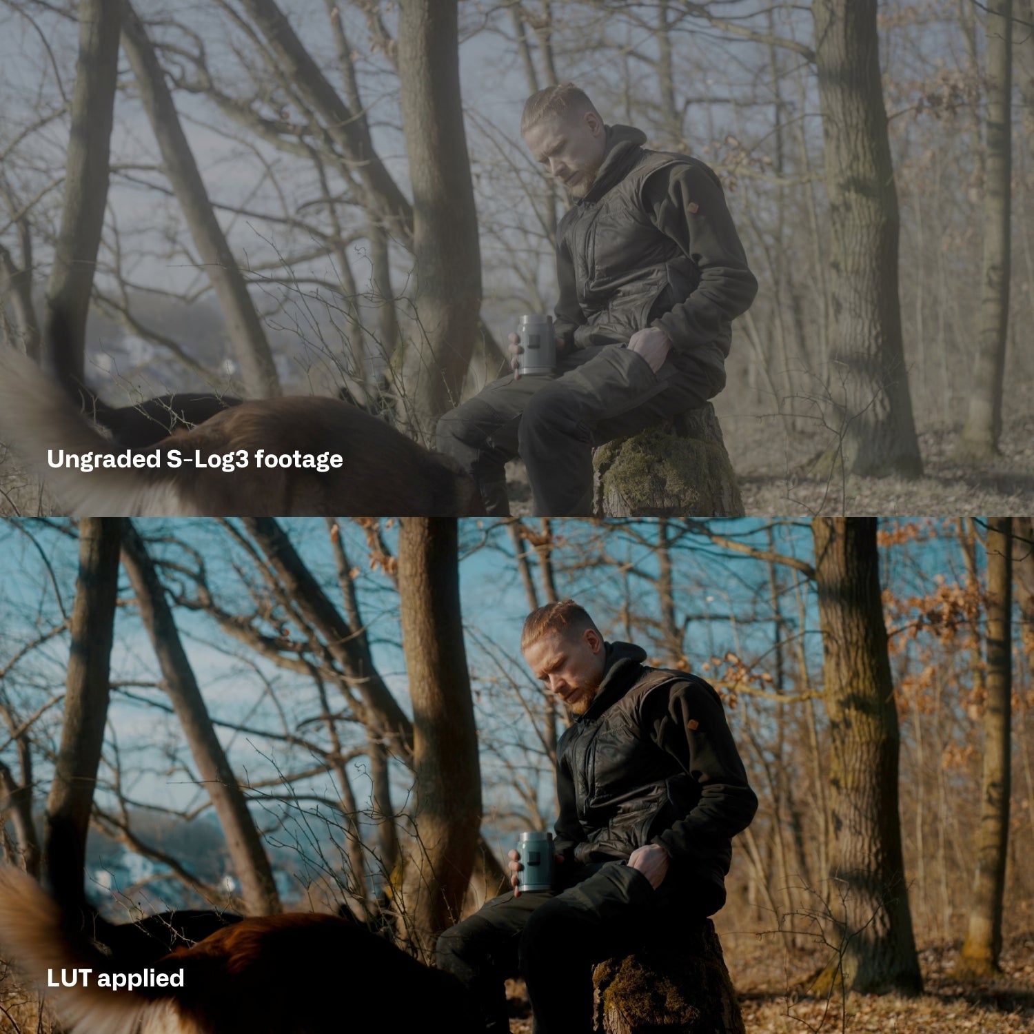 Sony SLog3 Cinematic LUTs