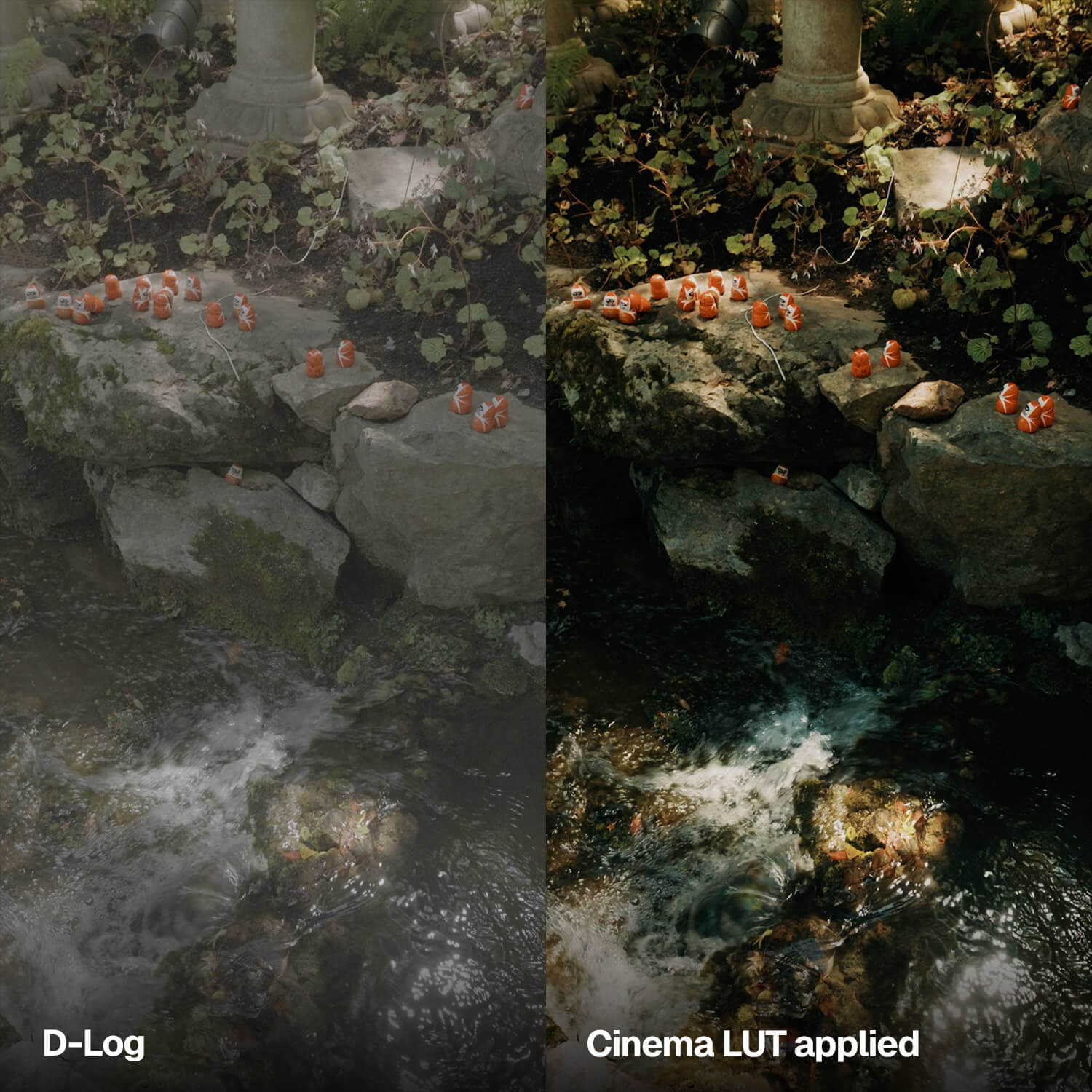 DJI Osmo Pocket 4 LUTs before and after of a Japanese garden stream, D-Log graded into a moody cinematic look