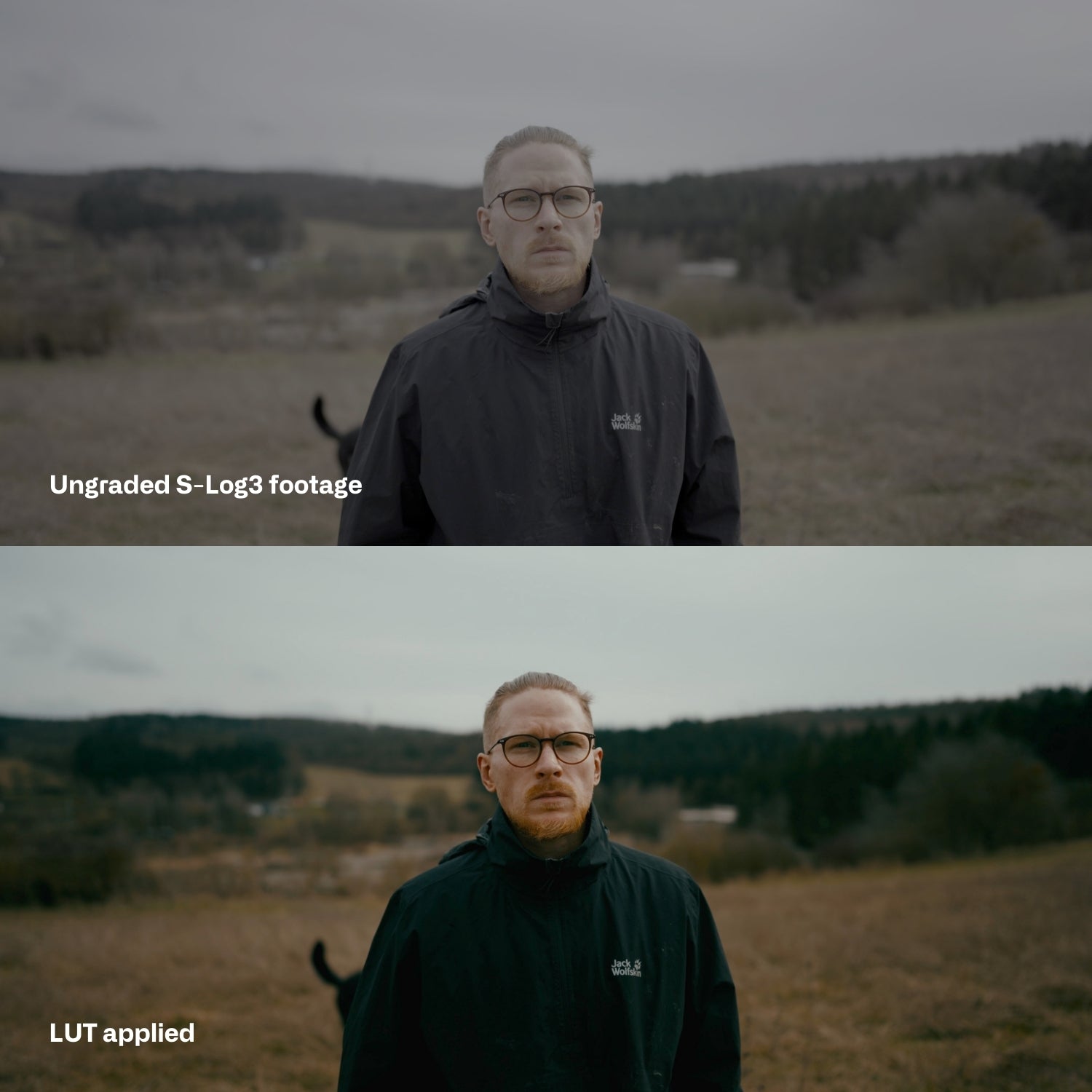 Sony SLog3 Cinematic LUTs