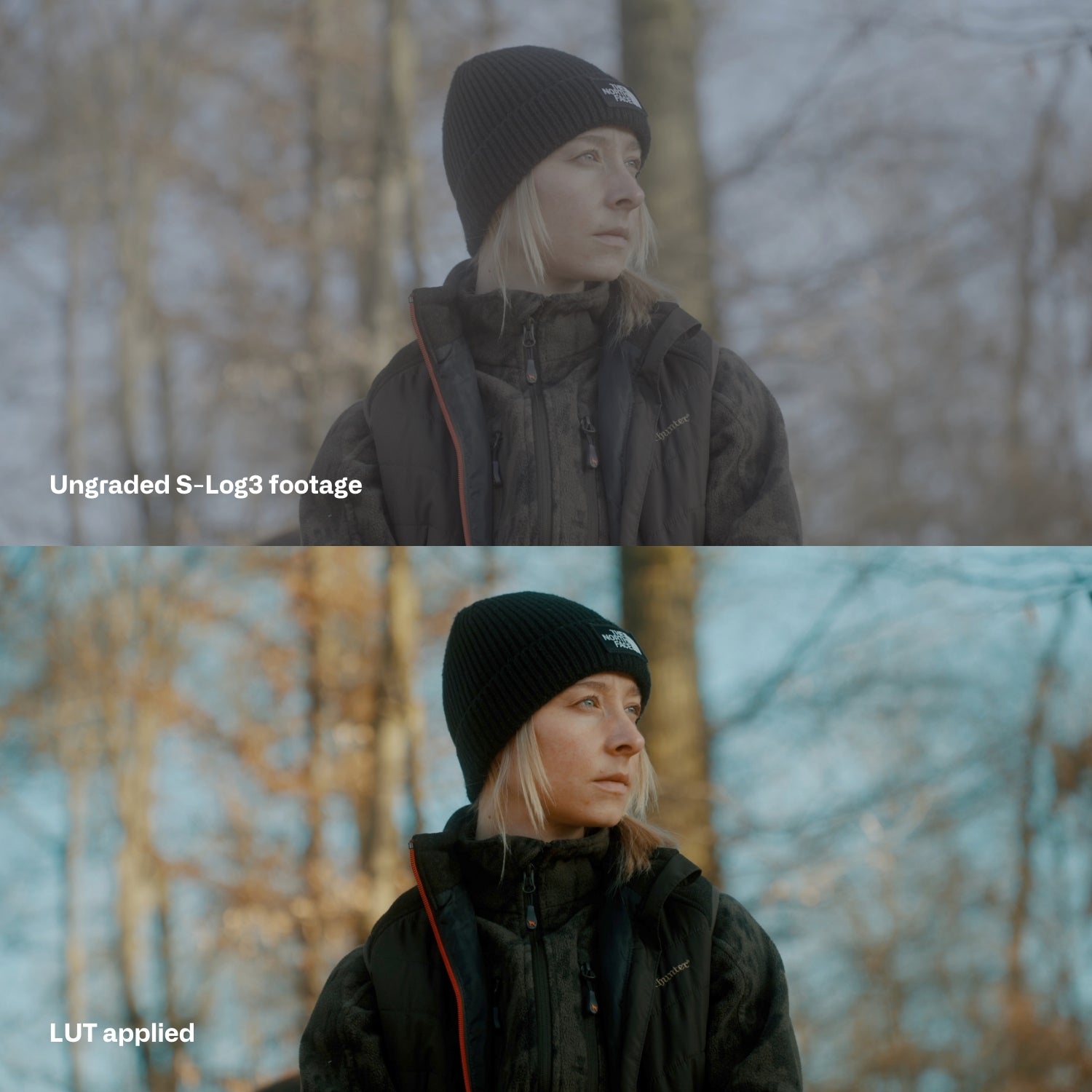 Sony SLog3 Cinematic LUTs