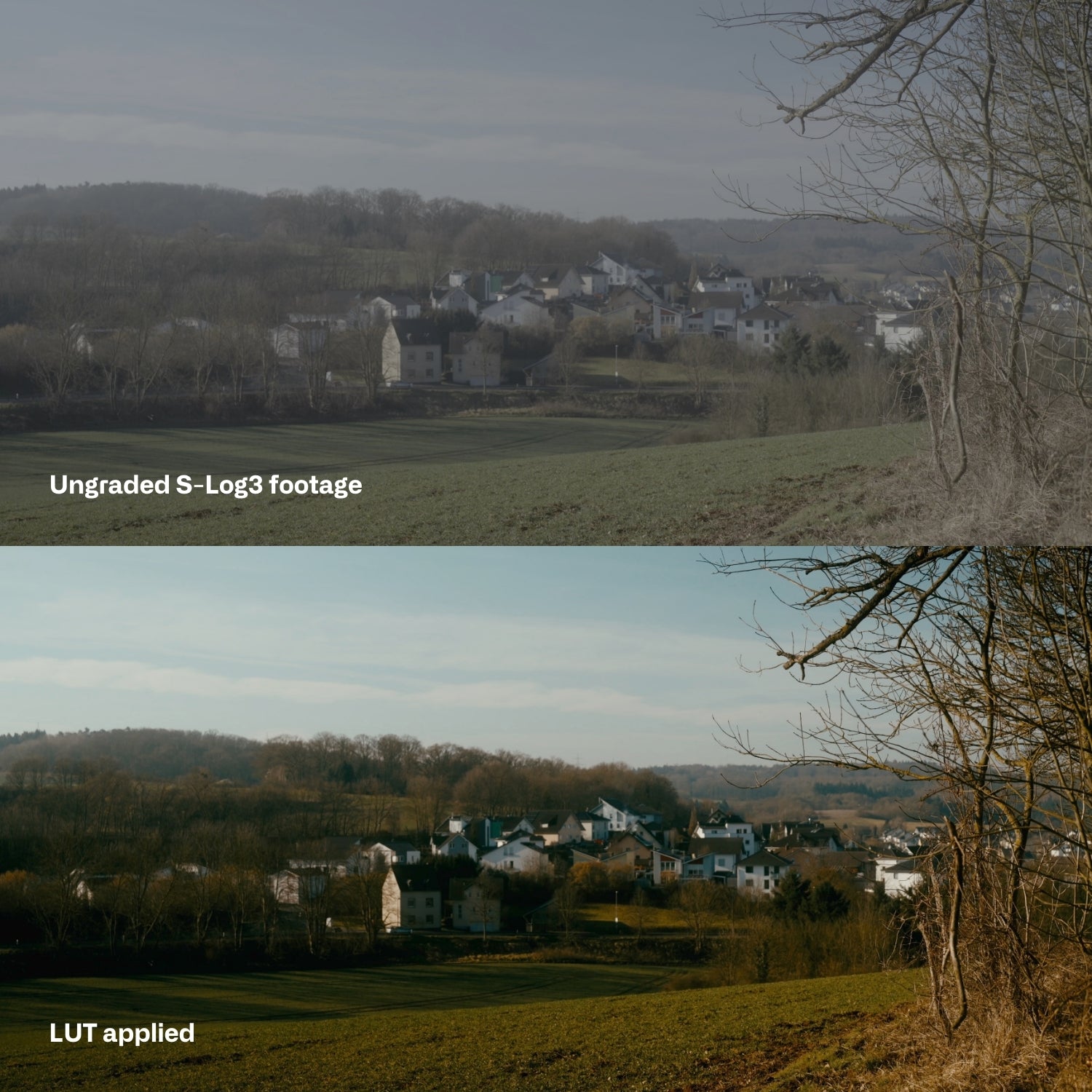 Sony SLog3 Cinematic LUTs