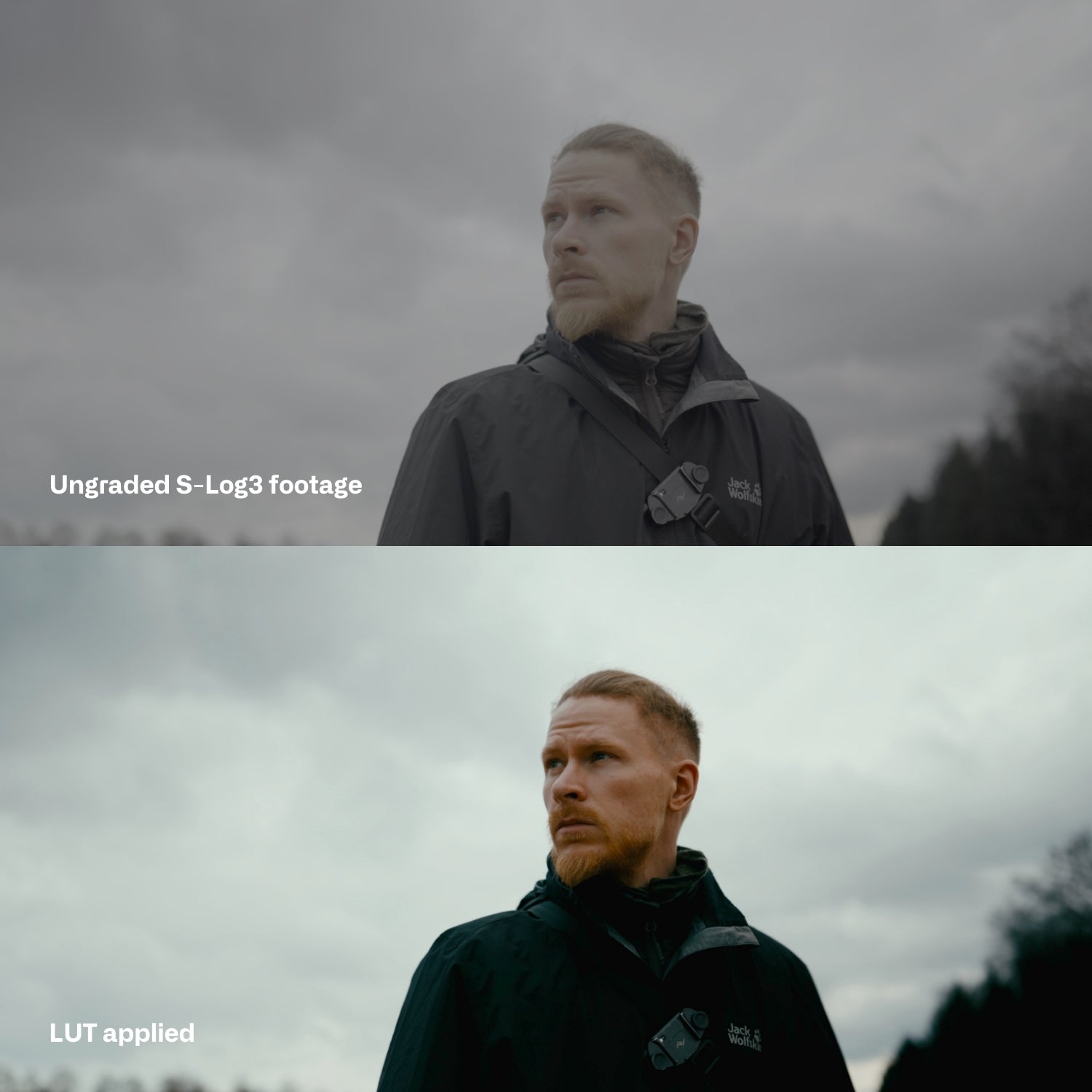 Sony SLog3 Cinematic LUTs