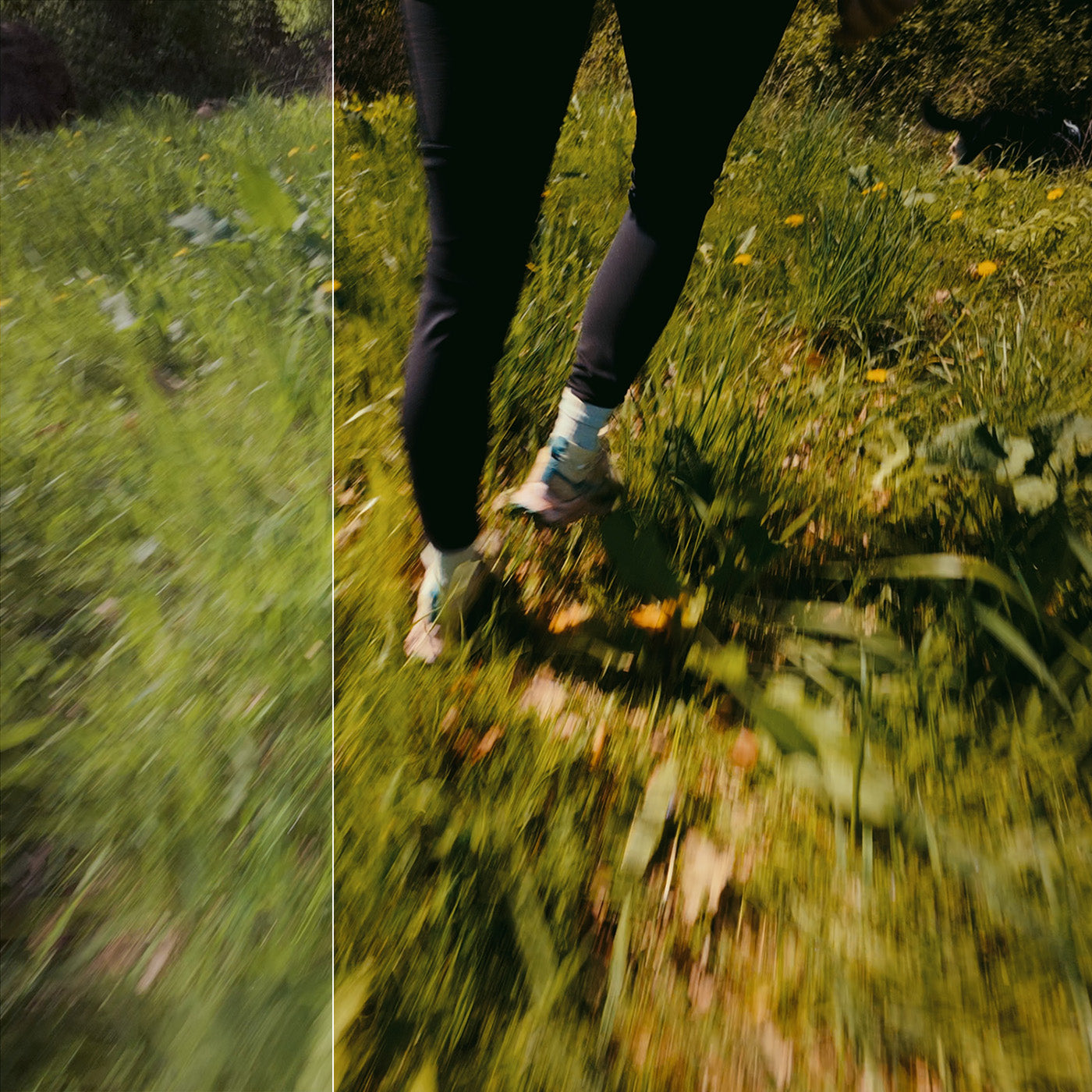 DJI Osmo Action Filmlook LUTs for D-Log M