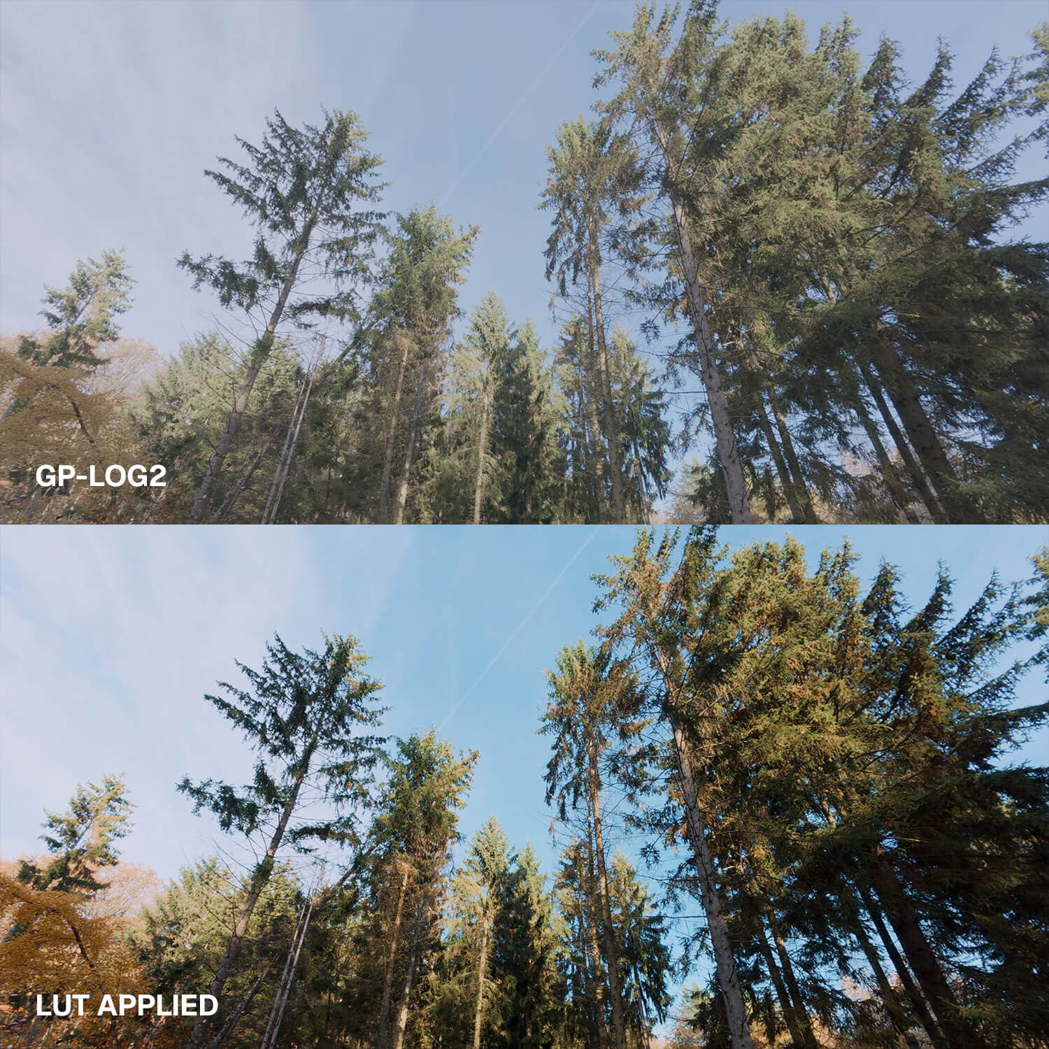 GoPro Mission 1 LUTs