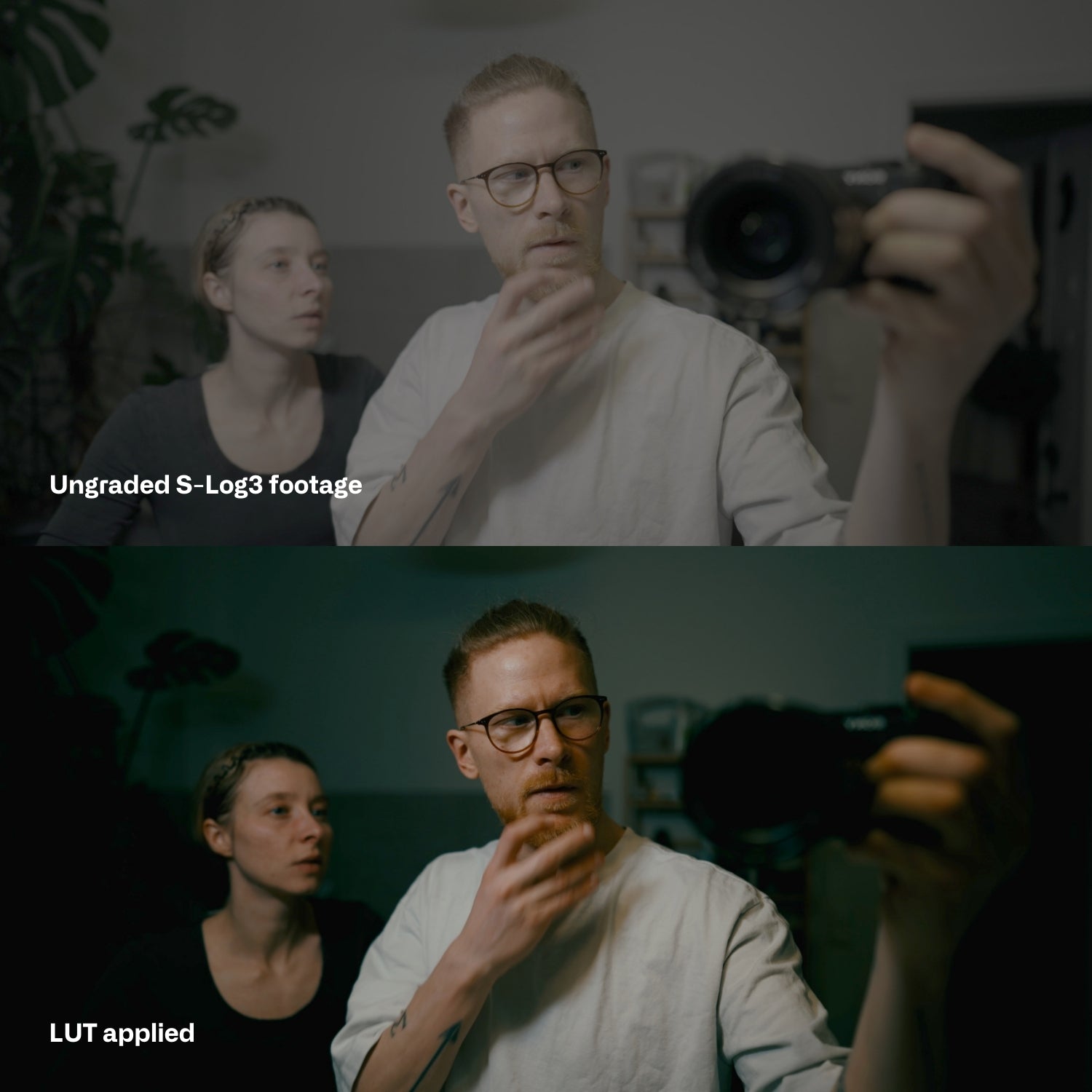 Sony S-Log3 Cinematic LUTs