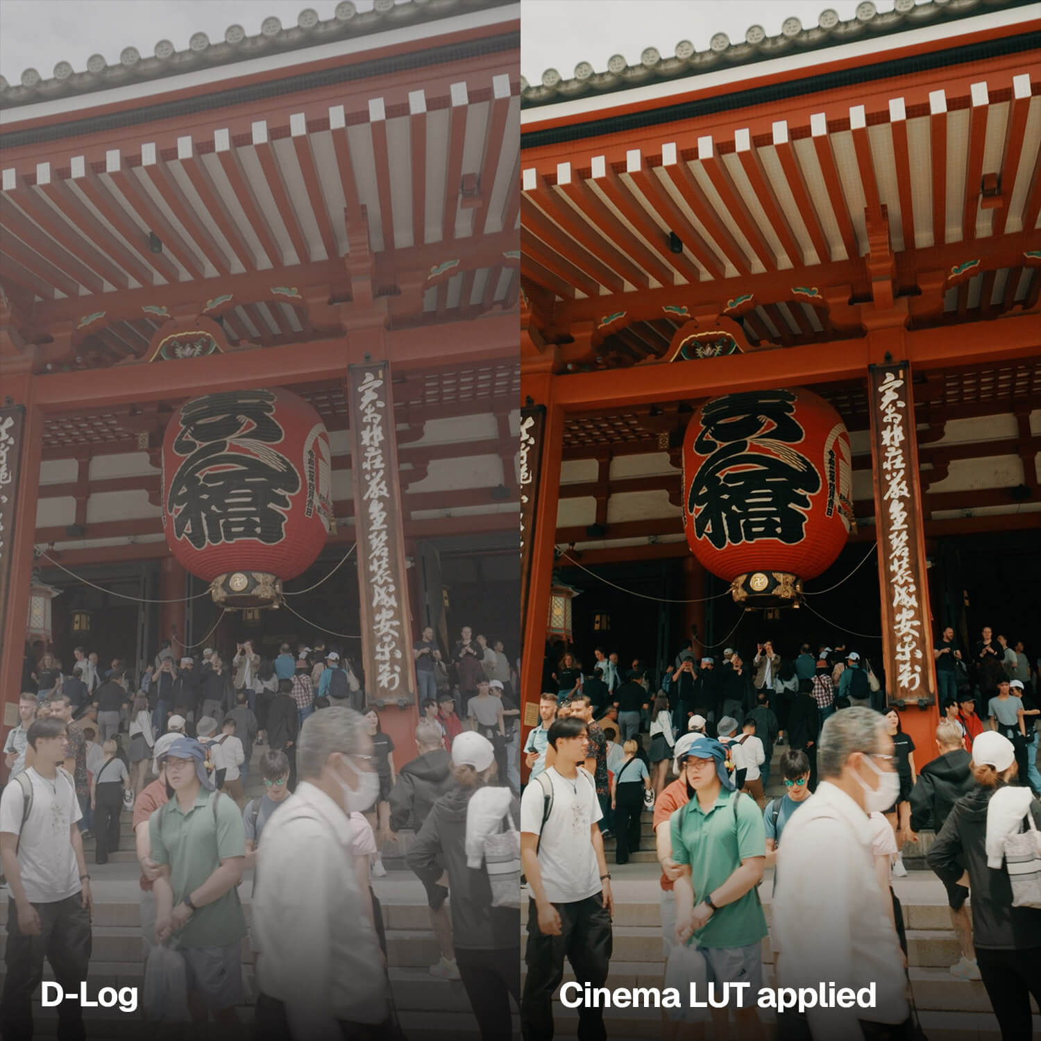 DJI Osmo Pocket 4 LUTs before and after at Sensoji Temple in Tokyo, flat D-Log transformed into rich cinematic color