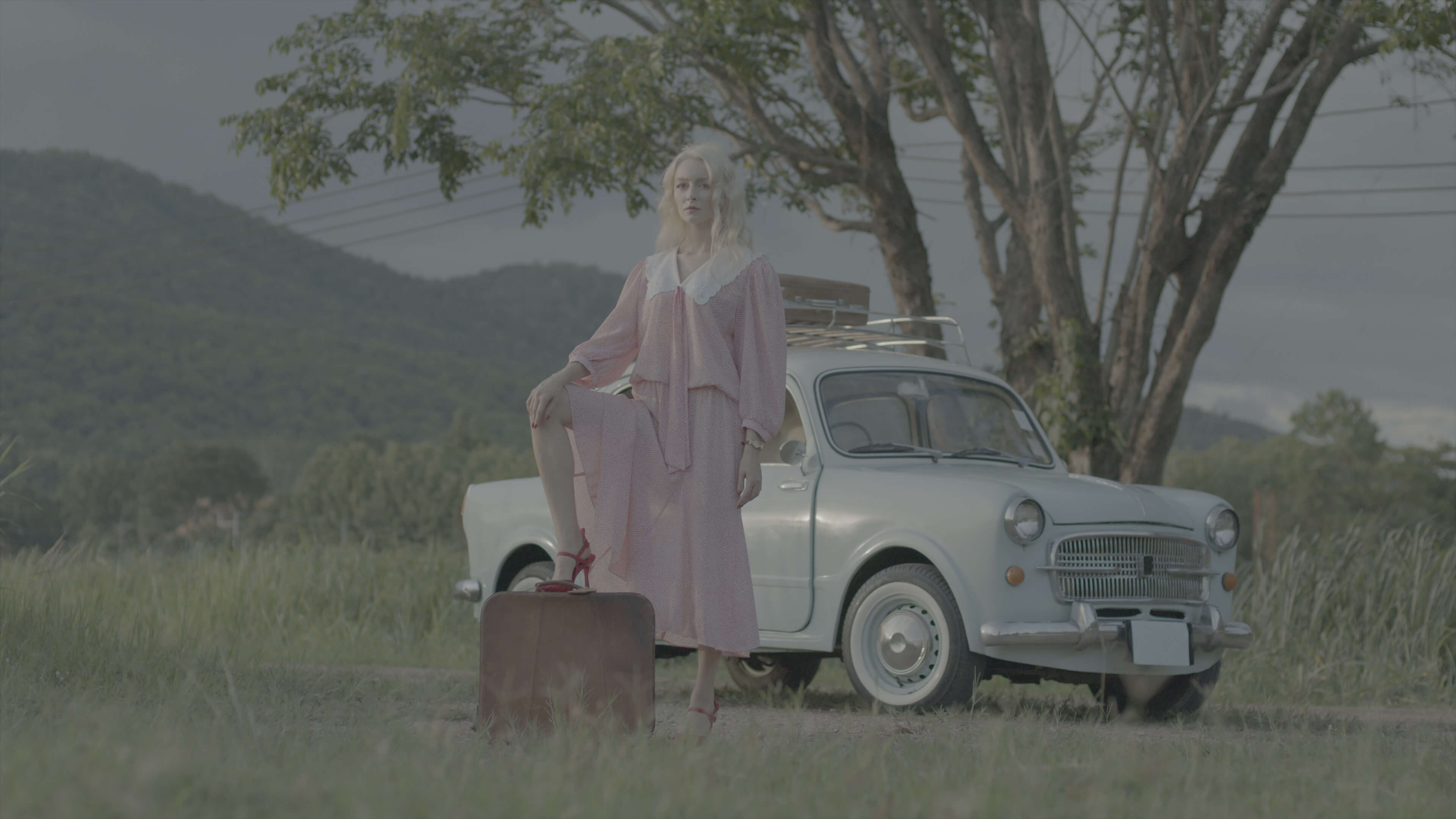 EMUL8 Film Emulation - Log footage - Girl in Car