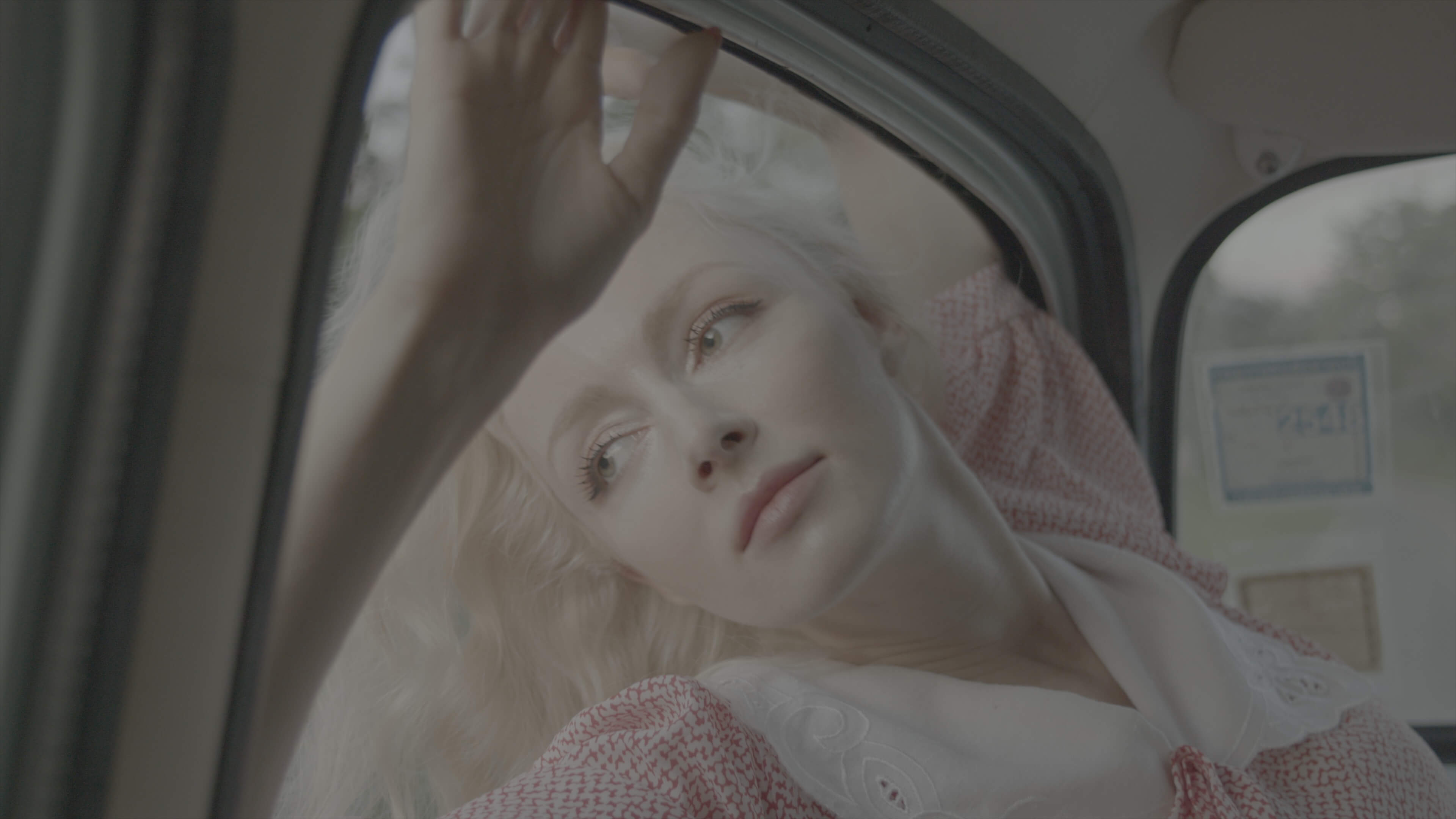 emul8 film emulation - before - girl in car